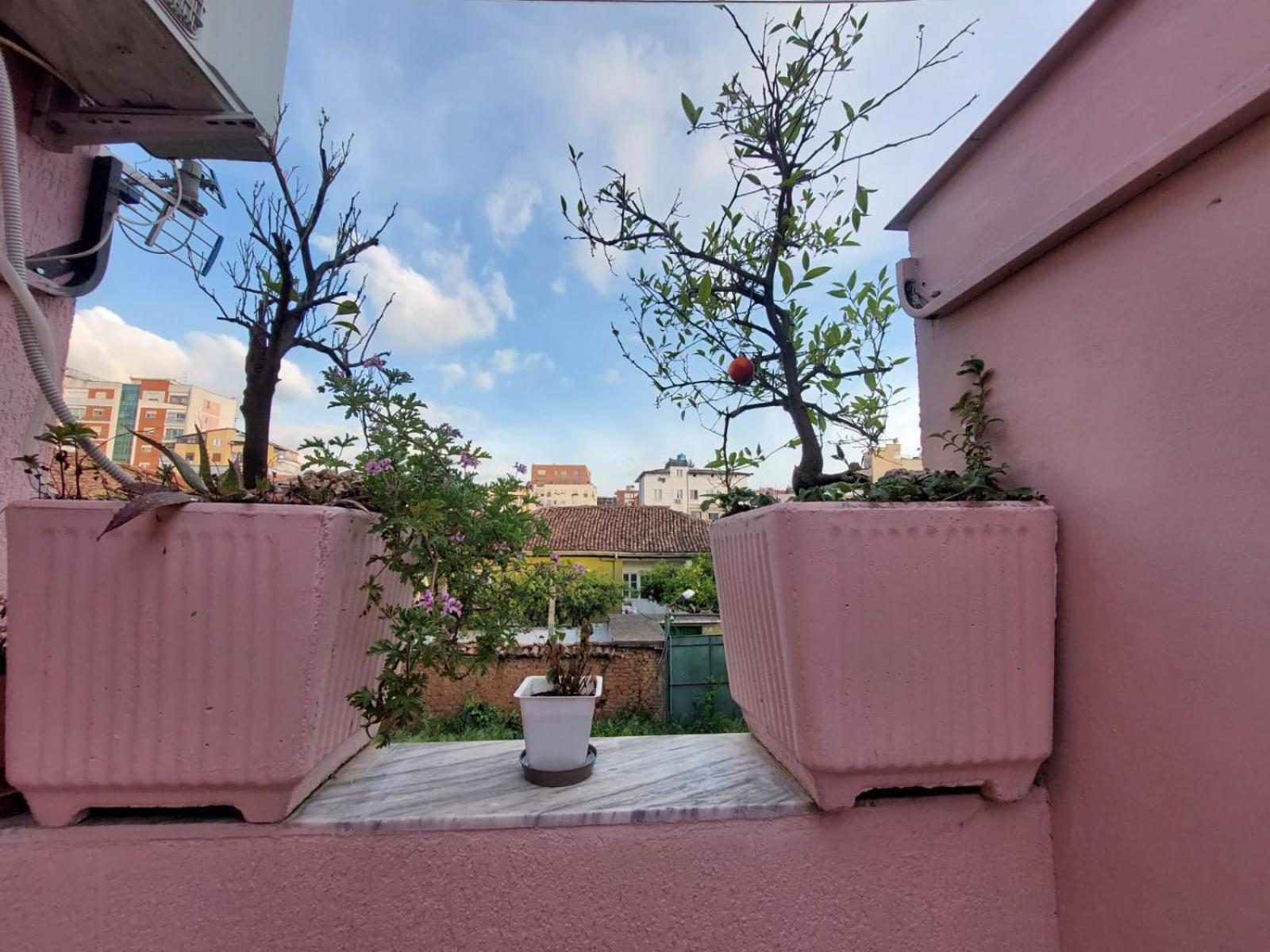 Gex Guest House Τίρανα Εξωτερικό φωτογραφία